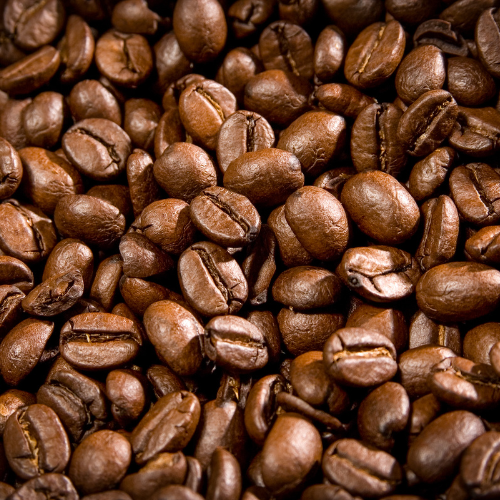 roasted coffee beans